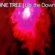 The lyrics ALWAYS NEVER of PORCUPINE TREE is also present in the album Up the downstairs (1993)