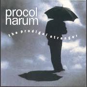 The lyrics THE HAND THAT ROCKS THE CRADLE of PROCOL HARUM is also present in the album The prodigal stranger (1991)