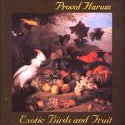 The lyrics THE IDOL of PROCOL HARUM is also present in the album Exotic birds and fruit (1974)