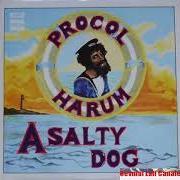 The lyrics TOO MUCH BETWEEN US of PROCOL HARUM is also present in the album A salty dog (1969)
