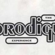 The lyrics HYPERSPEED of PRODIGY is also present in the album The experience (1992)