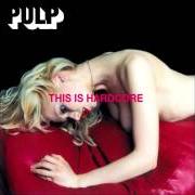 The lyrics SYLVIA of PULP is also present in the album This is hardcore (1998)