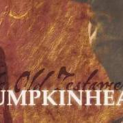 The lyrics DO IT of PUMPKINHEAD is also present in the album Old testament (2012)