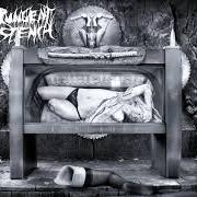 The lyrics GOT MILF? of PUNGENT STENCH is also present in the album Ampeauty (2004)
