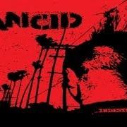 The lyrics GHOST BAND of RANCID is also present in the album Indestructible (2003)