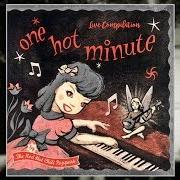The lyrics DEEP KICK of RED HOT CHILI PEPPERS is also present in the album One hot minute (1995)