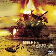 The lyrics SAY GOOD BYE of REEL BIG FISH is also present in the album We're not happy 'til you're not happy (2005)