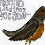 The lyrics THERE WAS NO THIEF of RELIENT K is also present in the album The bird and the bee sides (2008)