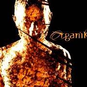 The lyrics IMPROVISATIONS PART 1 of ROBERT MILES is also present in the album Organik (2001)