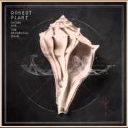 The lyrics SOMEBODY THERE of ROBERT PLANT is also present in the album Lullaby and...The ceaseless roar (2014)