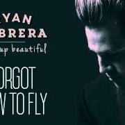The lyrics FORGOT HOW TO FLY of RYAN CABRERA is also present in the album Wake up beautiful (2015)