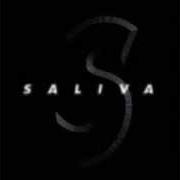 The lyrics 800 of SALIVA is also present in the album Saliva (1997)