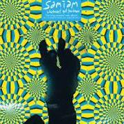 The lyrics HOG - (BONUS TRACK) of SAMIAM is also present in the album Whatever's got you down (2006)