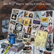 The lyrics WICKED BLOOD of SEA WOLF is also present in the album White water, white bloom