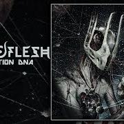 The lyrics ANDROID of SEPTIC FLESH is also present in the album Revolution dna (1999)