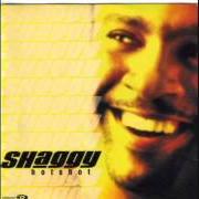The lyrics KEEP'N IT REAL of SHAGGY is also present in the album Hot shot (2000)
