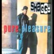 The lyrics BEDROOM BOUNTY HUNTER of SHAGGY is also present in the album Pure pleasure (1993)