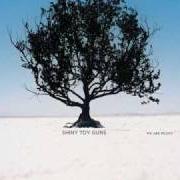 The lyrics SHAKEN of SHINY TOY GUNS is also present in the album We are pilots (2006)