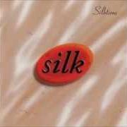 The lyrics CHECK MY STORY of SILK is also present in the album Silktime (2003)