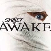 The lyrics DEAD INSIDE of SKILLET is also present in the album Awake (2009)