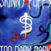 The lyrics SHORE LINED POISON of SKINNY PUPPY is also present in the album Too dark park (1990)