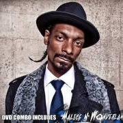 The lyrics YOU'RE GONNA LUV ME of SNOOP DOGG is also present in the album More malice (2010)