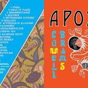 The lyrics BACKHANDED CLOUD of SUFJAN STEVENS is also present in the album Aporia (2020)