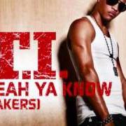 The lyrics YEAH YA KNOW (TAKERS) of T.I. is also present in the album King uncaged (2010)