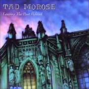 The lyrics VOICES ARE CALLING of TAD MOROSE is also present in the album Reflections (2000)