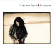 The lyrics BRIAN WILSON SAID of TEARS FOR FEARS is also present in the album Elemental (1993)