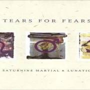 The lyrics THE MARAUDERS of TEARS FOR FEARS is also present in the album Saturnine martial and lunatic (1996)