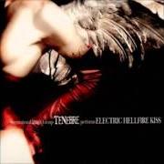 The lyrics ELECTRIC HELLFIRE KISS of TENEBRE is also present in the album Electric hellfire kiss (2002)