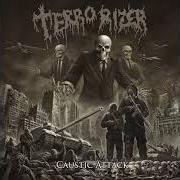 The lyrics WASTELAND of TERRORIZER is also present in the album Caustic attack (2018)