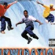 The lyrics KEEP IT POURIN' of THA ALKAHOLIKS is also present in the album Likwidation (1997)