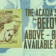 The lyrics ABOVE of THE ACACIA STRAIN is also present in the album Above, below (2013)