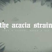 The lyrics EARTH WILL BECOME DEATH of THE ACACIA STRAIN is also present in the album Slow decay (2020)