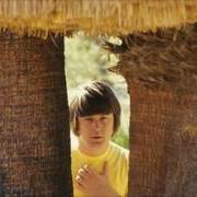 The lyrics I'D LOVE JUST ONCE TO SEE YOU of THE BEACH BOYS is also present in the album Wild honey (1967)