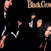 The lyrics HARD TO HANDLE of THE BLACK CROWES is also present in the album Shake your moneymaker (1990)