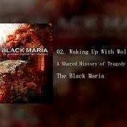 The lyrics 11:11 of BLACK MARIA is also present in the album A shared history in tragedy (2006)