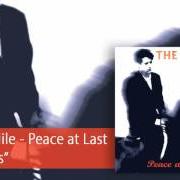 The lyrics HAPPINESS of THE BLUE NILE is also present in the album Peace at last (1996)
