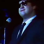 The lyrics CLOSING: I CAN'T TURN YOU LOOSE of THE BLUES BROTHERS is also present in the album Briefcase full of blues (1978)