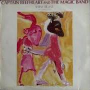 The lyrics TROPICAL HOT DOG NIGHT of THE CAPTAIN BEEFHEART is also present in the album Shiny beast (bat chain puller) (1978)