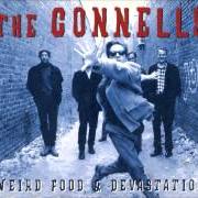 The lyrics JUST LIKE THAT of THE CONNELLS is also present in the album Weird food and devastation (1996)