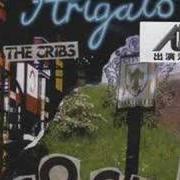 The lyrics FEELIN' IT! of THE CRIBS is also present in the album Arigato cockers (2006)