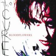 The lyrics THERE IS NO IF... of THE CURE is also present in the album Bloodflowers (2000)