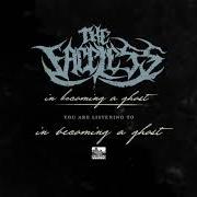 The lyrics (INSTRU)MENTAL ILLNESS of THE FACELESS is also present in the album In becoming a ghost (2017)