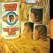 The lyrics OLD JOE of THE GUESS WHO is also present in the album Canned wheat (1969)