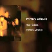 The lyrics I ONLY THINK OF YOU of THE HORRORS is also present in the album Primary colours (2009)