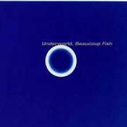 The lyrics PUSH DOWNSTAIRS of UNDERWORLD is also present in the album Beaucoup fish (1999)