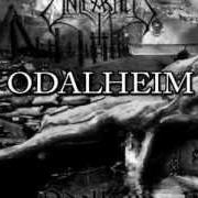 The lyrics VINLAND of UNLEASHED is also present in the album Odalheim (2012)
